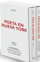 POETA EN NUEVA YORK